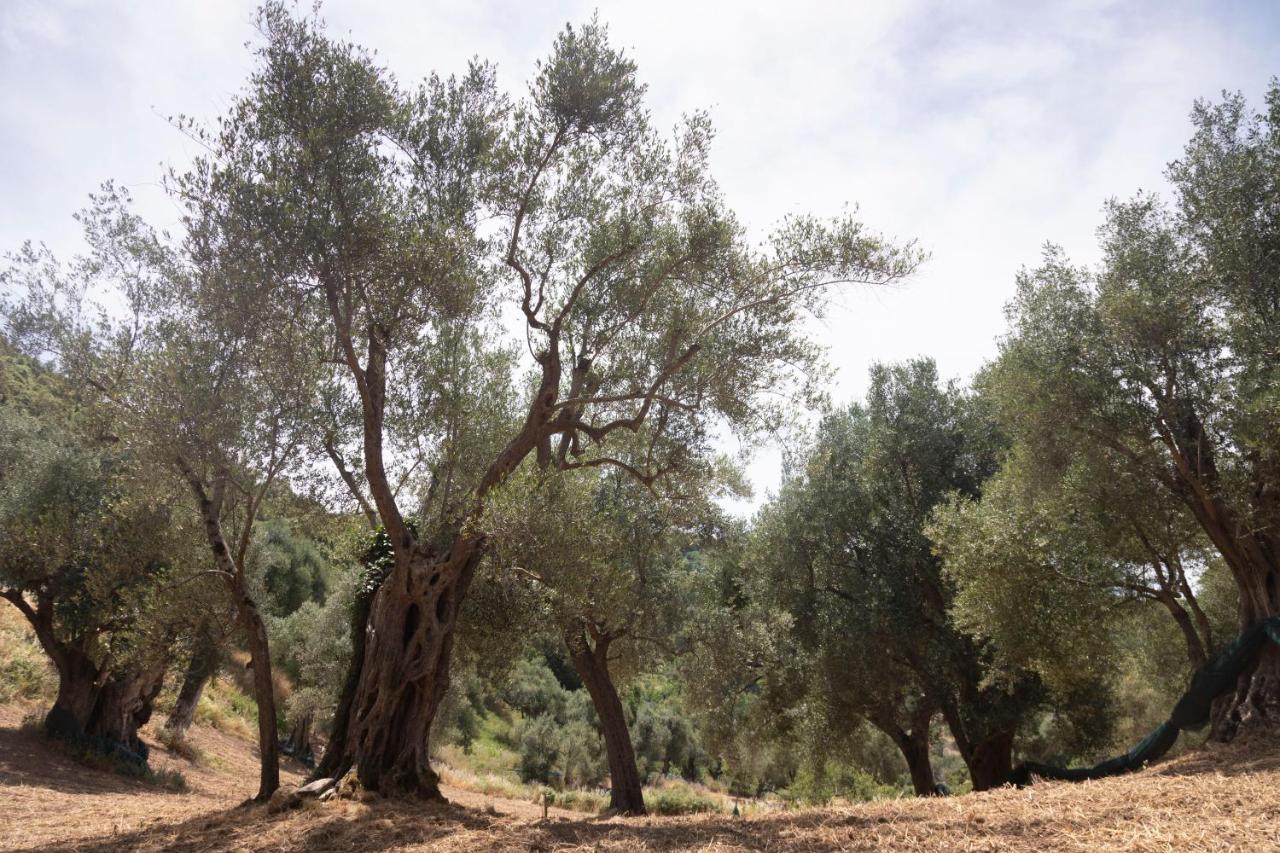 Corte Degli Ulivi Terradura Εξωτερικό φωτογραφία
